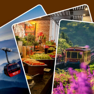 Combo tàu Mường Hoa + Cáp treo + Buffet trưa