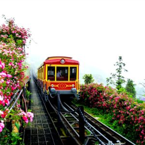 Vé tàu Mường Hoa Khứ hồi