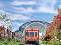 Vé tàu Mường Hoa Khứ hồi